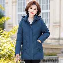 �����ꋌ���b��a�������Ӻ����L����q��Ů�����q2025��������