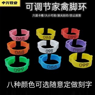 ���{���u���Z�_�h�ۼ��������_Ȧ����R�e�h������־�̖��С���{