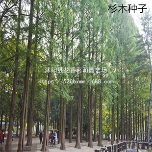 ����ɼľ�N�Ӵ�ɼˮɼɳ��N����ɼ����ɼ�ɼ�yɼ�yɼ ɼ��N��