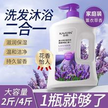 薰衣草沐浴露洗发水白茶洗护沐三件套去屑蓬松护发素家用洗护套装