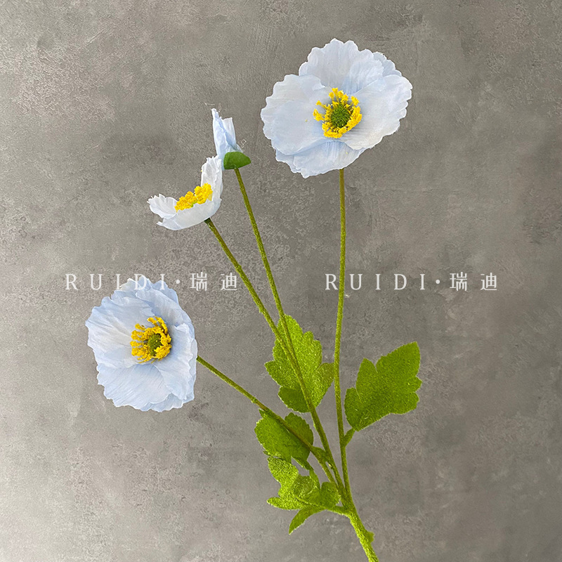 라이트 블루-LXZRYMR