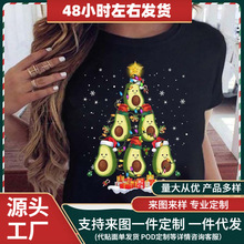 �¿�ʥ���ڿ���ʥ����ʥ�����˼�ԼԲ���ɫ�������ŮT��