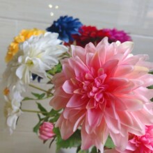 ����������ٻ���c�����ղ廨�bҾߔ[�O