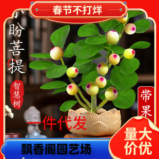 һ�����l���������С�������辰������ʽ�U������[���҃Ȅ����