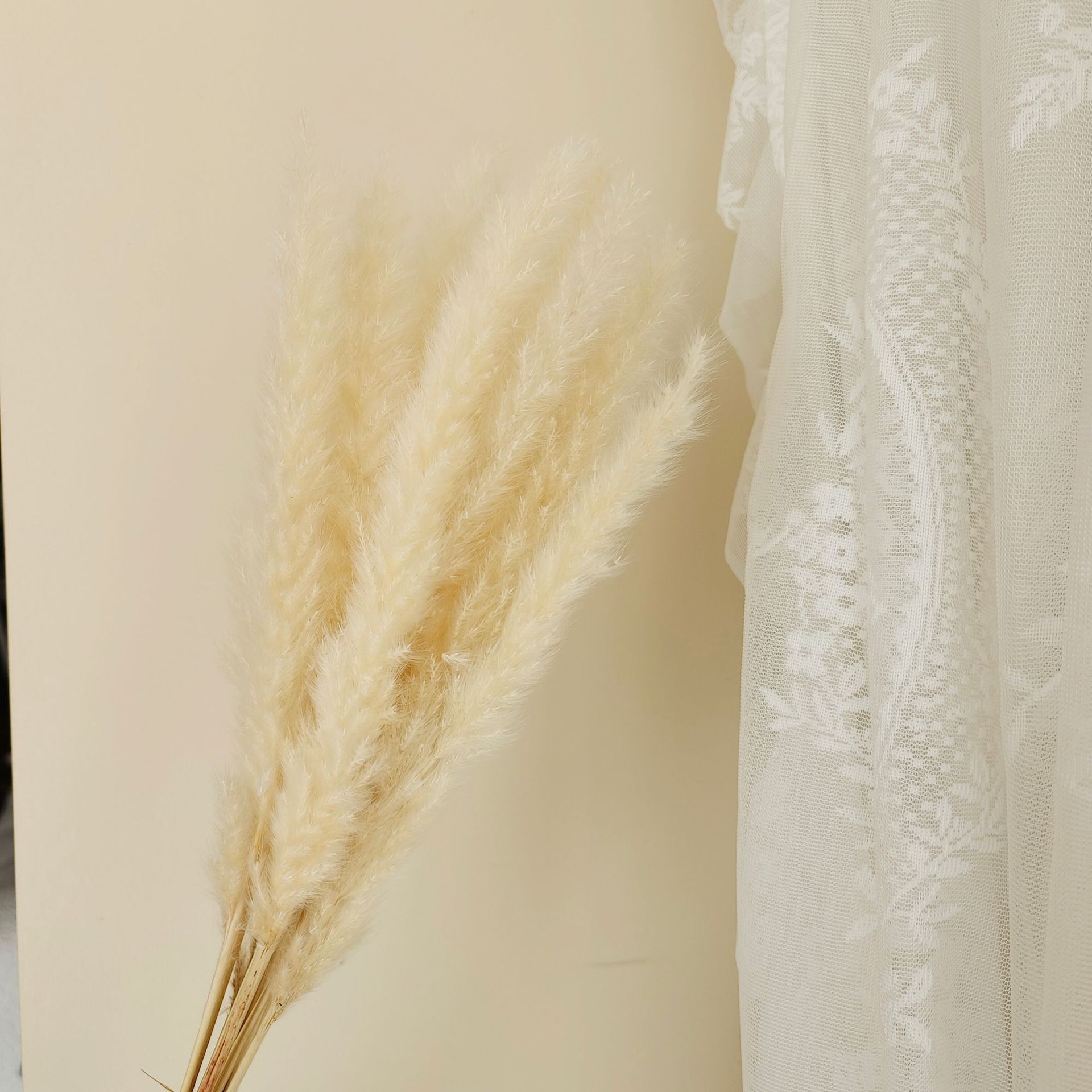 황백색 가지 15개