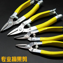 ��֦���޻�����֦���ɹ��@ˇ���ø��ٽ��ӵ������шA�^С��