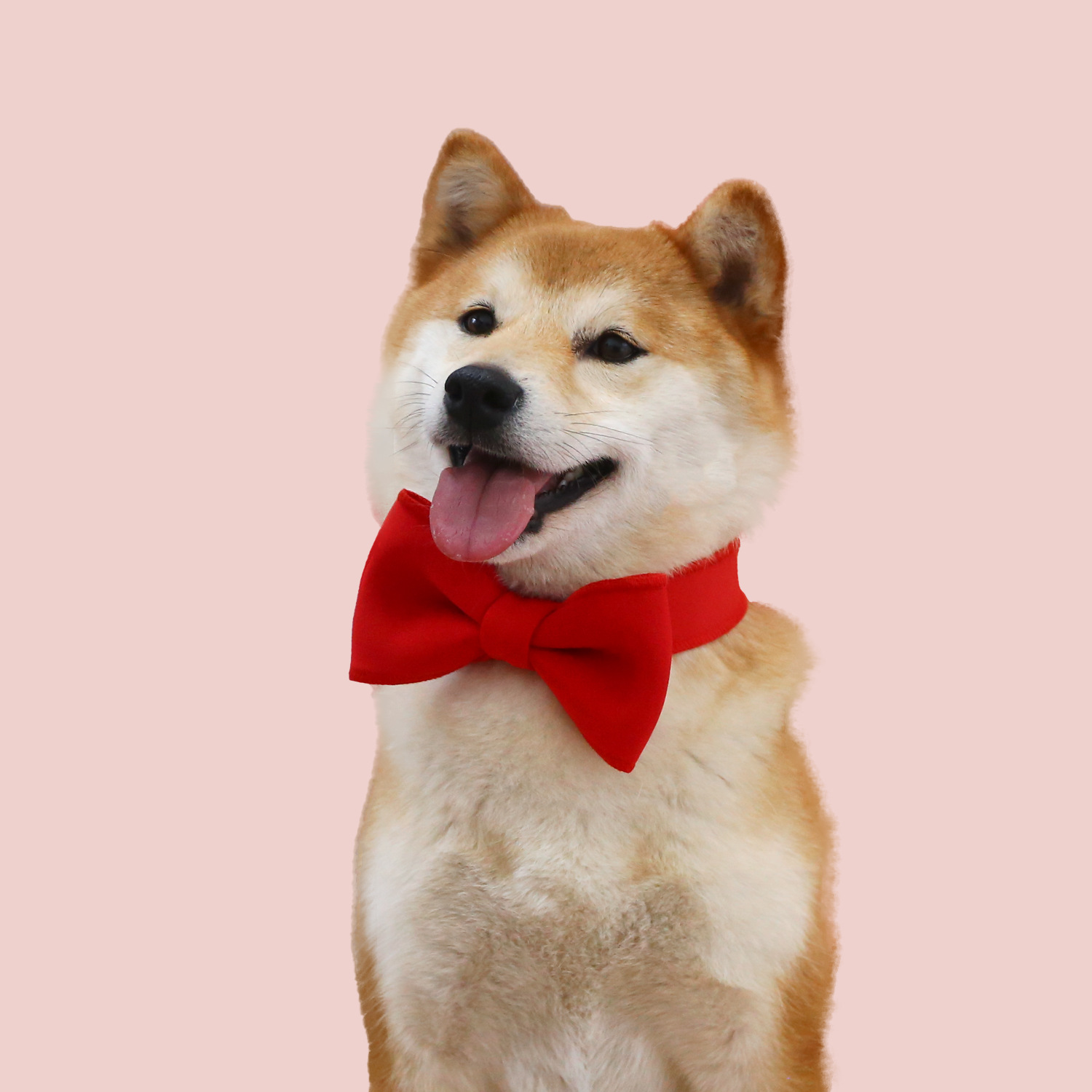 红色佩戴