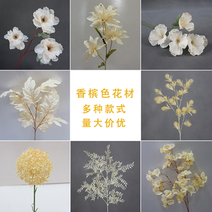 �㙉ɫ������õ�彁����c��ˇ���Ļ�Y���üٻ������b�