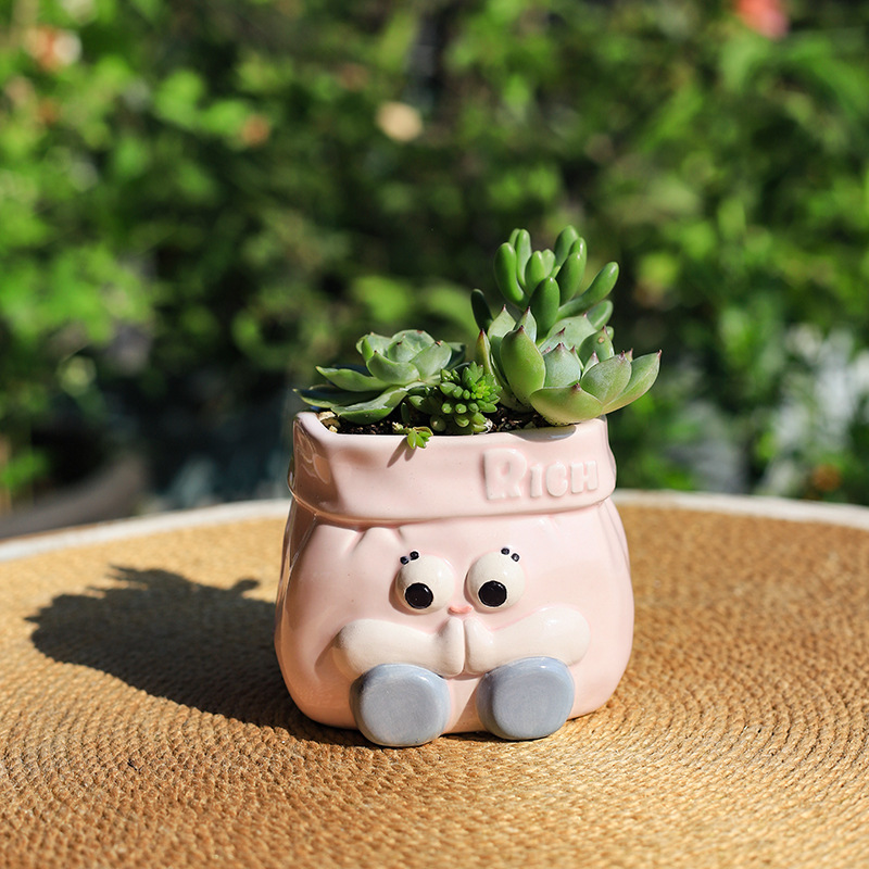 Chậu Cây Resin Chậu cây mọng nước bằng gốm hoạt hình, chậu mini để bàn, trang trí sân vườn và nhà (RG-135)
