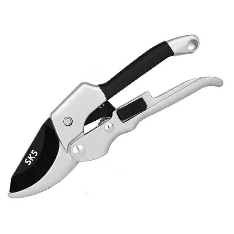 微信图片_20250626153822