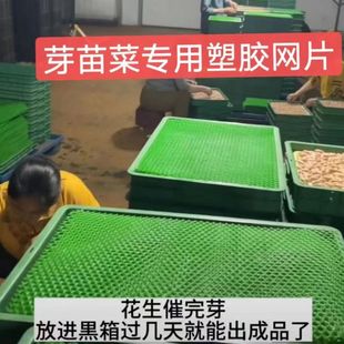 ���z�WƬѿ��˻���ѿ�����W�|���rѿ�׾W�Ӻ��L���ξGɫˮ��