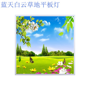 Blue Sky and White Clouds Grassland Led Flat Panel Light Ktv Bar Hospital School Office Pattern Aluminum Gusset Panel Light