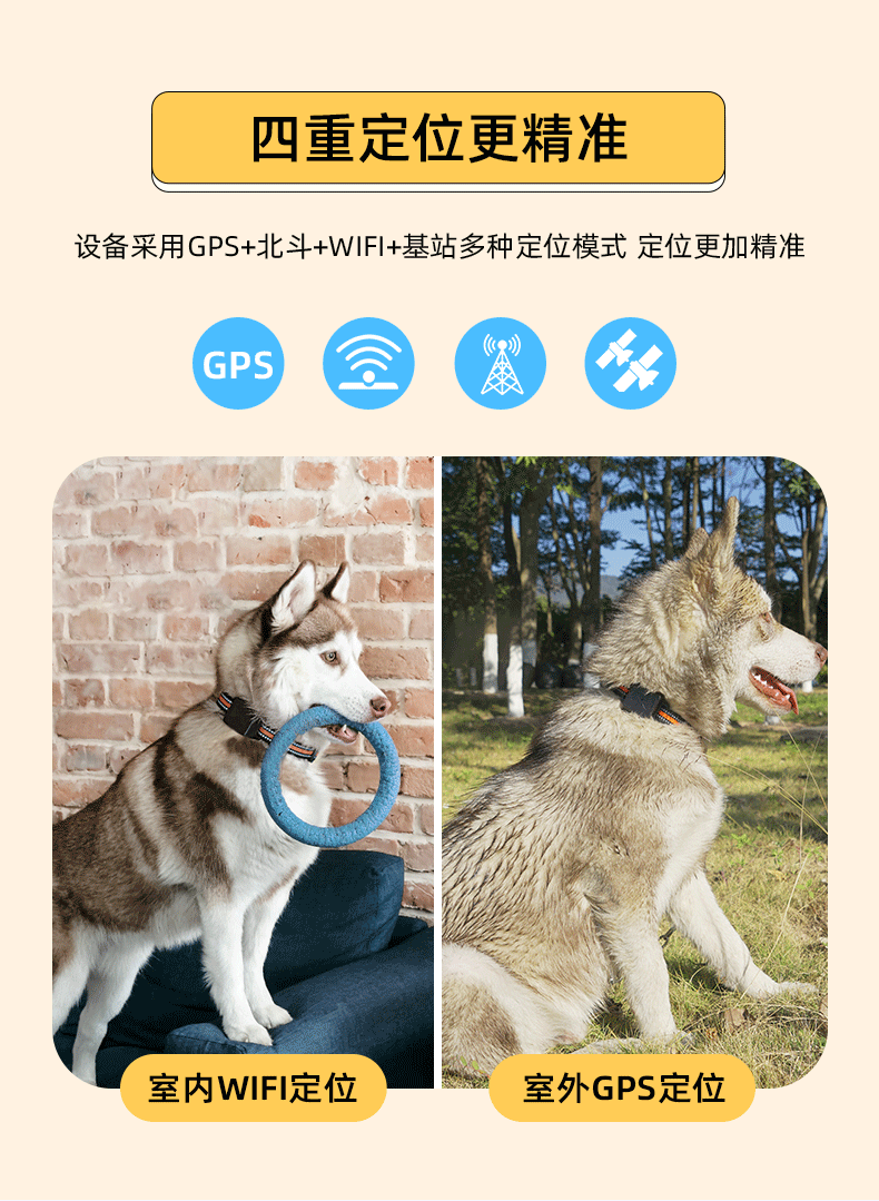 宠物定位器_04.gif