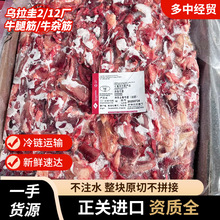 乌拉圭2/12厂牛腿筋/牛杂筋家常菜馆红烧牛筋面馆牛筋面食材