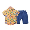 Summer children's flower boy costume for early age, set, shirt, sleeves, 2021 collection, wholesale