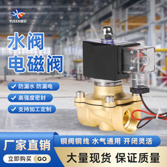 2w-160-15真鍮配管制御弁220V24V放水電子弁常閉電弁水弁バルブ