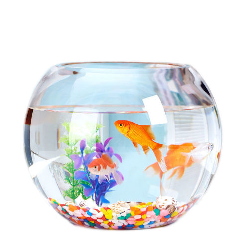 Office Fish Tank Thick Transparent Glass Turtle Tank Living Room Home Use Desktop Round Mini Goldfish Tank