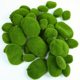 Simulated Moss Stone Micro Landscape Bonsai Landscaping Decoration Fake Moss Stone Artificial Flocking Stone