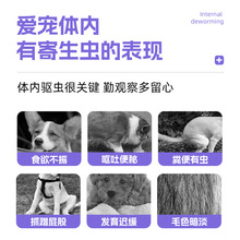 福来恩外狗狗驱虫药同驱一体拜耳拜宠清成犬幼犬体内体外宠物体内