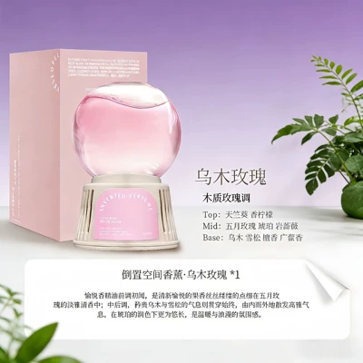 Removal Car Perfume, Car Perfume Aromatherapy - ebony-rose-250ml-color-box