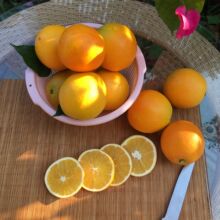 ��S���]�M������Ě��10���b��� �����M��Ě�ȬFժ���l/���l��