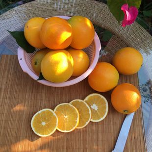 ��S���]�M������Ě��10���b��� �����M��Ě�ȬFժ���l/���l��