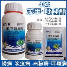 40%����.�����������~�߰׷��P�����ǲ�̿�Ҳ�˪ù���rș500��