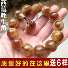 ����ţ�ǡ���Ȼ���ؚ�ţ���ִ� Ѫ�z��Ůʿ��朝MѪ����������l