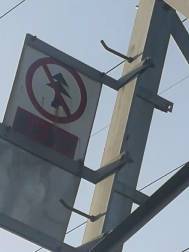 WPS图片-修改尺寸(3)