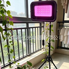 �羳��ƷUSBȫ����ֲ���������߲�ˮ��ֲ�����粹���ֲ��Ƽ���
