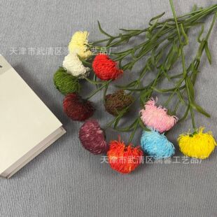 ��֦ܛ�zʯ�����Gֲ��c�bҾӔ[�žGֲ�ָ�ܛ�z����Gë��
