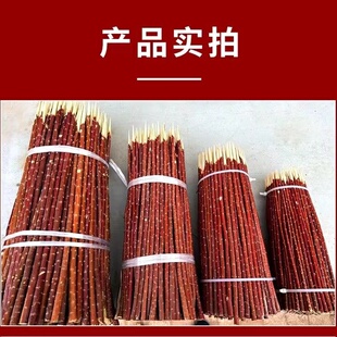 �½��t�����⺞�� �t��֦ľ�����⴮��������