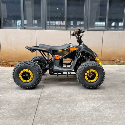 48V500W Mountain All-Terrain Children's – Elektrikli motosikletlər