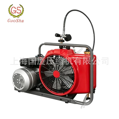 Mining Air Filling Pump High Pressure Breathing Air Compressor Gsw-100 Mobile Type (Hava kompressorları) - gsw-100-deposit-payment