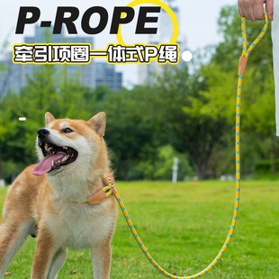 New Dogs High Density Nylon Traction Rope Medium and Large Dogs Universal Collar Dog Walking P Chain Rope Pet Supplies