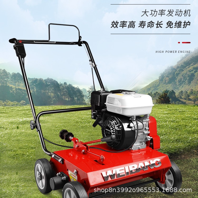 维邦汽油机动梳草机 WB486CRH手推式钢底盘 园林养护草坪梳草机