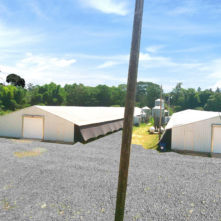 Фабрика Ниуша Курятник Стальной Конструкция Склад Стальной Конструкция Легкий Стальной Конструкция Овощеводство Овощная теплица