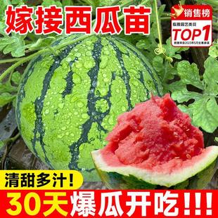 ���ϼ޽���������������8424��Ƥ�o�Ѹ߮a�̨����ˮ���߲���N��