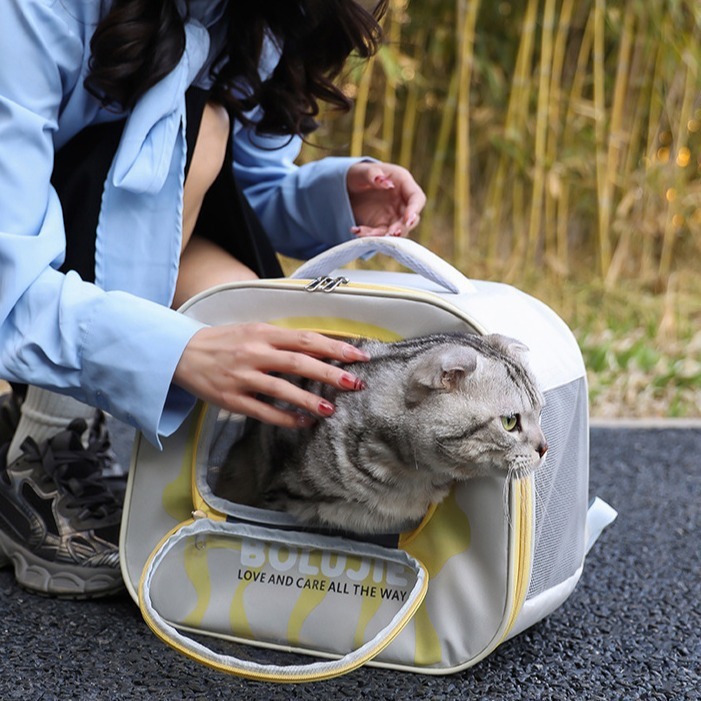 外出便携宠物包大容量双肩宠物猫包携带猫狗箱外出包太空舱批发|undefined