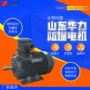 华力山东隔爆型三相电动机
