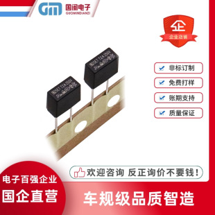 SET Chengrun Black Plug-in Square Fuse T1A T2A T3A T4A T5A T6.3A T10A 250V