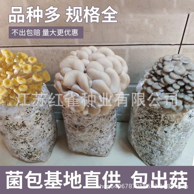Мешок для посадки грибов Pleurotus ostreatus семья собственный мешок для посадки грибов съедобный гриб штамм мешок для посадки грибов