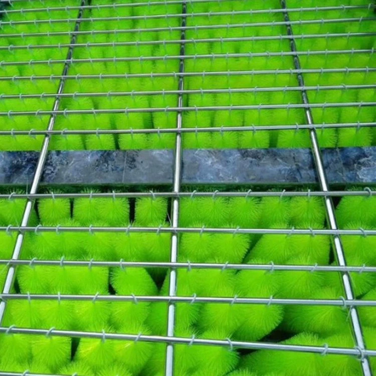 Щетка для рыбного пруда Фильтр Материал Фильтр для пруда Щетка для рыбного пруда