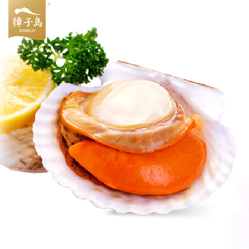 獐子岛 鲜汁半壳扇贝(超大号)520g 6只  蒜蓉调料包 虾夷扇贝 烧