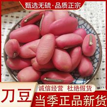 ������ș�ĵ����� �t���� �tƤ������Ȼ������ �󵶶���Ҏ��