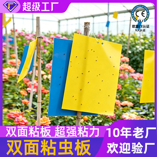 �S���p���T�x�����l�Ӻ���@�����{���E�RС���wմ��ω��ճ�T����