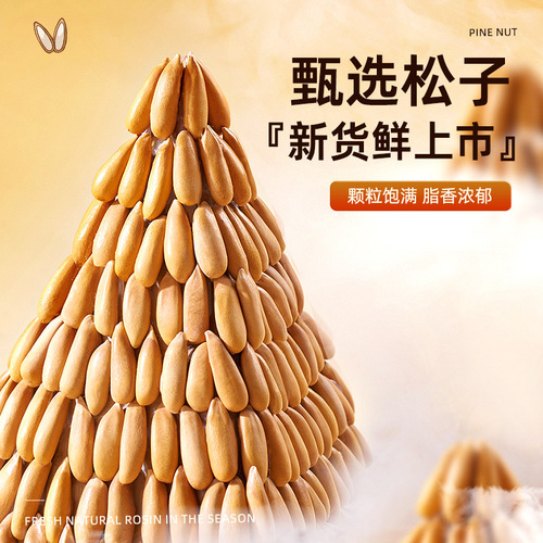 Canned Brazilian pine nuts 500g snack thin shell easy to peel original pine nuts casual and delicious hand peeled pine nuts