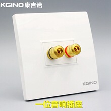 康吉诺86型双头环绕立体声音箱面板影音多媒体音响喇叭接线柱插座