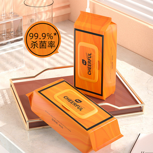 Plant-protected wet toilet paper 80 pumps*6 large packaging wet wipes biodegradable wet wipes for men and women private toilet wet wipes wholesale