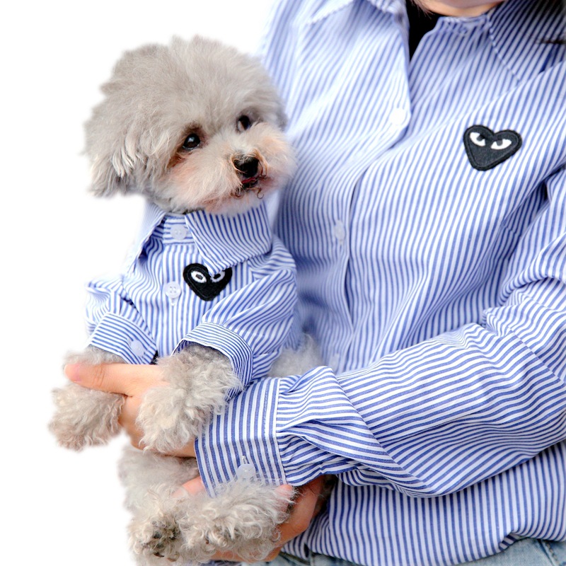 애완 동물과 주인의 부모-자식 고양이 곰 테디 개 옷 봄과 가을 얇은 여름 옷 봄과 여름 라인 ZHAO ZHISUN